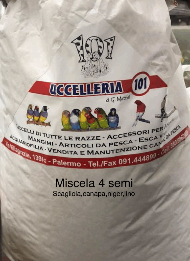 Schermata-2020-03-16-alle-16.13.23.png