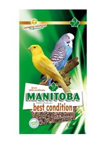 Manitoba best condition 25 kg