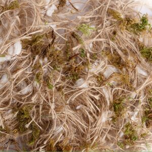 Fibre per nidi cocco sisal juta cotone e muschio 500 g