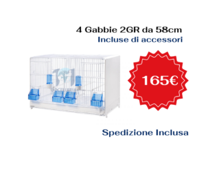 4 Gabbie da cova 58 cm 2GR verniciate bianche