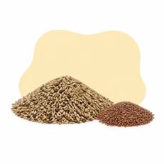 Semi prativi e officinali