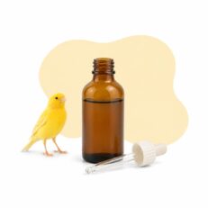 Multivitaminici e tonici