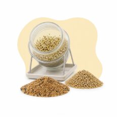 Semi germinabili e condizionati