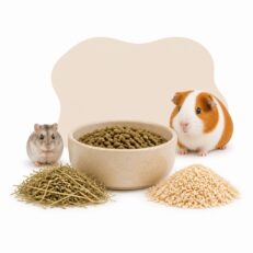 Alimentazione e igiene